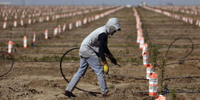 Wells dry up, crops imperiled, farm workers in limbo as California drought grips San Joaquin Valley