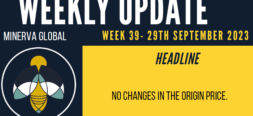 Week 39 – 29th September 2023